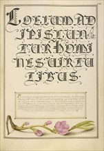 Almond in Flower; Joris Hoefnagel, Flemish , Hungarian, 1542 - 1600, and Georg Bocskay, Hungarian, died 1575, Vienna, Austria
