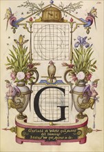 Guide for Constructing the Letter G; Joris Hoefnagel, Flemish , Hungarian, 1542 - 1600, Vienna, Austria; about 1591 - 1596