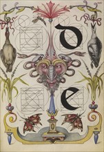 Guide for Constructing the Letters d and e; Joris Hoefnagel, Flemish , Hungarian, 1542 - 1600, Vienna, Austria; about 1591