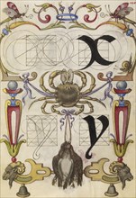 Guide for Constructing the Letters x and y; Joris Hoefnagel, Flemish , Hungarian, 1542 - 1600, Vienna, Austria; about 1591