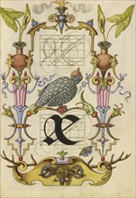 Guide for Constructing the Ligature ae; Joris Hoefnagel, Flemish , Hungarian, 1542 - 1600, Vienna, Austria; about 1591 - 1596