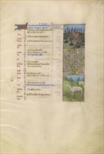A Man Planting; Zodiacal Sign of Aries; Tours, France; about 1480 - 1485; Tempera colors, gold, and ink on parchment; Leaf