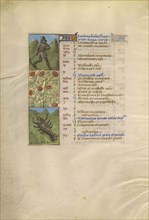 A Man Mowing; Zodiacal Sign of Cancer; Tours, France; about 1480 - 1485; Tempera colors, gold, and ink on parchment; Leaf