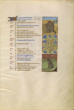 A Man Reaping; Zodiacal Sign of Leo; Tours, France; about 1480 - 1485; Tempera colors, gold, and ink on parchment; Leaf