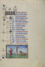A Man Carrying Leafy Branch; Zodiacal Sign of Taurus; Master of the Lee Hours, Flemish, active about 1450 - 1470, Ghent