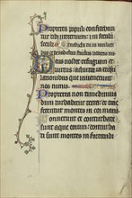 Initial D: A Man Embracing Christ on the Cross; Northeastern France, France; about 1300; Tempera colors, gold leaf, and ink