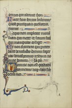 Initial D: A Young Man in Prayer; Northeastern France, France; about 1300; Tempera colors, gold leaf, and ink on parchment; Leaf
