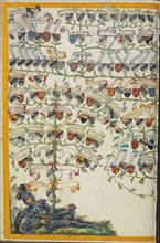 Derrer Family Tree from Friedrich Derrer; Nuremberg, Germany; about 1626 - 1711; Tempera colors with gold and silver highlights