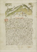 A Wolf Killing a Lamb; Trier, probably, Germany; third quarter of 15th century; Pen and black ink and colored washes on paper