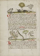A Dog Biting a Wolf Laying Near his Den and Nearby a Sheep, a Donkey and a Stag; Trier, probably, Germany