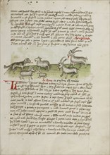 A Dog, Sheep, and Rams; Trier, probably, Germany; third quarter of 15th century; Pen and black ink and colored washes on paper
