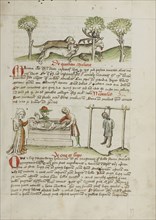 A Dog Hunting a Stag; A Man Killed by Hanging and A Woman Laying in a Coffin; Trier, probably, Germany; third quarter of 15th