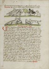 A Herd of Wolves Attacking a Flock of Rams; Trier, probably, Germany; third quarter of 15th century; Pen and black ink