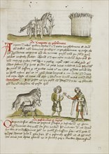 A Horse in a Thorn Bramble near a Wheat Field; A Horse, a Sheep, and Two Men Talking; Trier, probably, Germany
