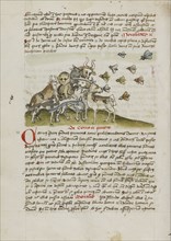 A Swarm of Insects Flying above a Group of Animals; Trier, probably, Germany; third quarter of 15th century; Pen and black ink
