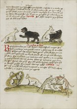 A Fox and a Bear; A Fox Attacking a Bear; A Lion in its Den and a Fox; Dogs Biting a Stag; Trier, probably, Germany; third