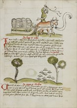 A Farmer Driving an Ox and Wagon; Swarms of Insects; Trier, probably, Germany; third quarter of 15th century; Pen and black ink