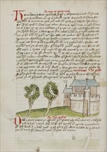 A Bird Perched in a Tree near a Town; Trier, probably, Germany; third quarter of 15th century; Pen and black ink and colored
