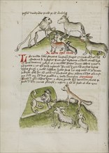 Lions and a Donkey with Other Animals; A Lion in his Den and a Fox, Ram, and Goat; Trier, probably, Germany