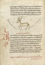 A Stag; Crete, Greece; 1510 - 1520; Pen and red lead and iron gall inks, watercolors, tempera colors, and gold paint on paper