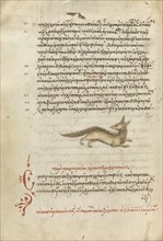 A Fox; Crete, Greece; 1510 - 1520; Pen and red lead and iron gall inks, watercolors, tempera colors, and gold paint on paper