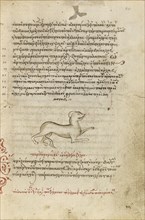 A Dog; Crete, Greece; 1510 - 1520; Pen and red lead and iron gall inks, watercolors, tempera colors, and gold paint on paper