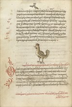 A Hen; Crete, Greece; 1510 - 1520; Pen and red lead and iron gall inks, watercolors, tempera colors, and gold paint on paper