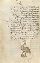 A Crane; Crete, Greece; 1510 - 1520; Pen and red lead and iron gall inks, watercolors, tempera colors, and gold paint on paper