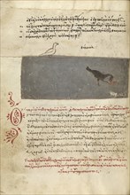A Bird and a Bird Catching a Fish; Crete, Greece; 1510 - 1520; Pen and red lead and iron gall inks, watercolors, tempera colors