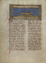 A Weasel; Thérouanne ?, France, formerly Flanders, Europe; about 1270; Tempera colors, gold leaf, and ink on parchment; Leaf