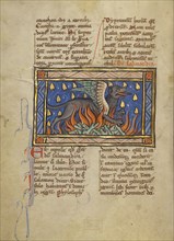 A Salamander; Thérouanne ?, France, formerly Flanders, about 1270; Tempera colors, gold leaf, and ink on parchment; Leaf