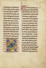 A Swallow; Thérouanne ?, France, formerly Flanders, fourth quarter of 13th century, after 1277, Tempera colors, pen and ink