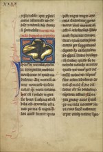 A Blackbird; Thérouanne ?, France, formerly Flanders, fourth quarter of 13th century, after 1277, Tempera colors, pen and ink