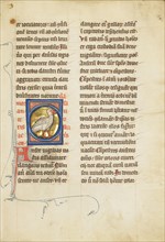 A Goose; Thérouanne ?, France, formerly Flanders, fourth quarter of 13th century, after 1277, Tempera colors, pen and ink