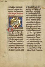A Swan; Thérouanne ?, France, formerly Flanders, fourth quarter of 13th century, after 1277, Tempera colors, pen and ink, gold