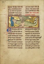 A Dragon-like Animal with Wings; Thérouanne ?, France, formerly Flanders, fourth quarter of 13th century, after 1277, Tempera