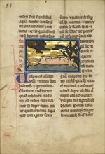 Birds on a Dead Fox; Thérouanne ?, France, formerly Flanders, fourth quarter of 13th century, after 1277, Tempera colors, pen