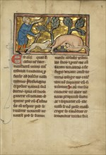 A Hunter Blowing his Horn While Attacking a Beaver; Thérouanne ?, France, formerly Flanders, fourth quarter of 13th century