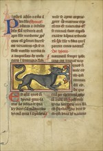 A Hyena; Thérouanne ?, France, formerly Flanders, fourth quarter of 13th century, after 1277, Tempera colors, pen and ink
