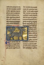 A Wild Donkey; Thérouanne ?, France, formerly Flanders, fourth quarter of 13th century, after 1277, Tempera colors, pen
