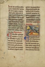 A Salamander; Thérouanne ?, France, formerly Flanders, fourth quarter of 13th century, after 1277, Tempera colors, pen and ink