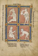 Cinomologus; Anthropophagus; Himantopode; Artabatite; Thérouanne ?, France, formerly Flanders, fourth quarter of 13th century