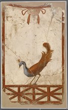 Wall Fragment with a Peacock; Italy, Europe; 1 - 79; Fresco; 40 × 24.8 × 3.2 cm, 15 3,4 × 9 3,4 × 1 1,4 in