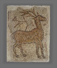 Mosaic Fragment with Stag; Syria; 5th - 6th century; Mosaic; 119.4 × 89 cm, 47 × 35 1,16 in