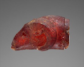 Pendant: Ram's Head; Italy; 525 - 480 B.C; Amber; 36 × 20 × 18 mm, 9 kg, 1 7,16 × 13,16 × 11,16 in., 19.8414 lb
