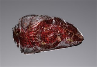 Pendant: Ram's Head; Italy; 525 - 480 B.C; Amber; 19.5 × 15.5 × 28 mm, 3,4 × 5,8 × 1 1,8 in
