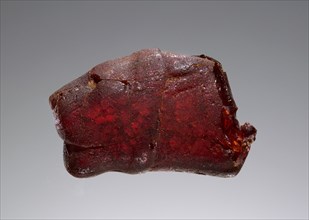 Pendant: Lion's Head; Italy; 500 - 480 B.C; Amber; 15 × 16 × 26 mm, 9,16 × 5,8 × 1 in