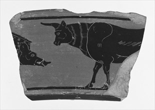 Attic Black-Figure Volute Krater Fragment; Athens, Greece; about 530 B.C; Terracotta; 11.3 cm, 4 7,16 in