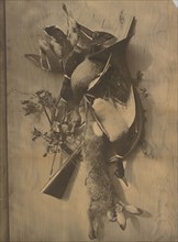 Still Life: Dead Game; Adolphe Braun, French, 1812 - 1877, about 1880; Carbon print; 75.6 × 55.6 cm, 29 3,4 × 21 7,8 in