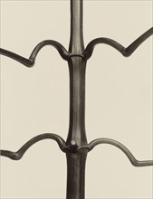 Impatiens glandulifera; Karl Blossfeldt, German, 1865 - 1932, Berlin, Germany; 1928; Gelatin silver print; 25.9 × 20 cm